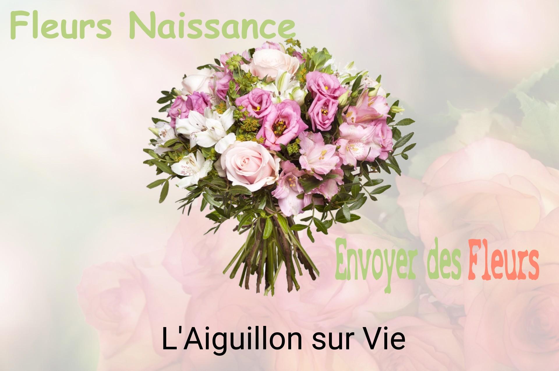 Bouquet de fleurs de naissance livré à L'Aiguillon-sur-Vie